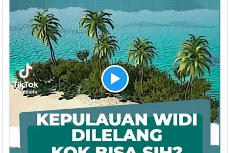 Tangkapan layar postingan The Guardian yang menyebutkan 100 Pulau Widi di Maluku akan dilelang 