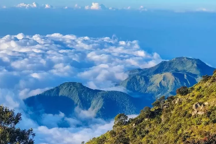 Panorama Alam di Gunung Lawu (Instagram / @lawumountain)