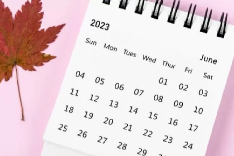 Kapan Jadwal Libur Idul Adha 2023? Segera Cek Tanggalnya di Sini! (Suara.com)