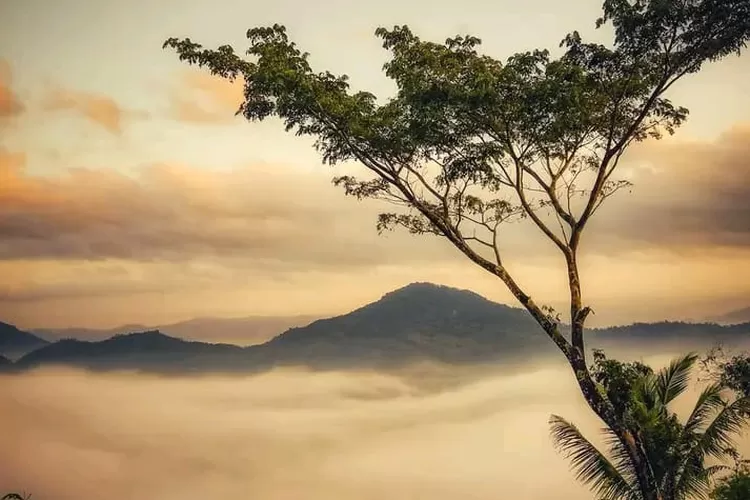 Panorama Negeri Diatas Awan Kota Trenggalek , Bukit Banyon (AhmdT)