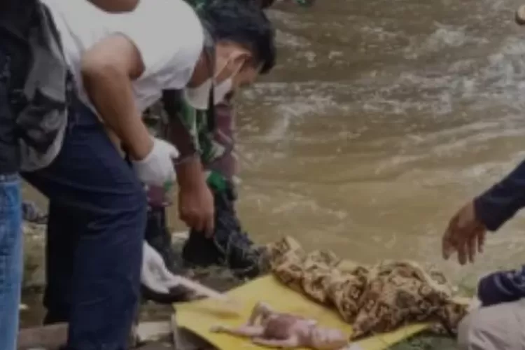Bayi jenis kelamin laki-laki yang sudah tak bernyawa pertama kali ditemukan oleh salah satu pemulung dalam kondisi tengkurap diatas tumpukan sampah-sampah