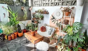 Tips Merawat Tanaman Hias dalam Pot saat Musim Kemarau