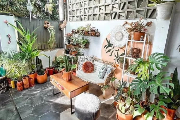 Ilustrasi tanaman hias gandasuli yang unik dan membawa keberuntungan