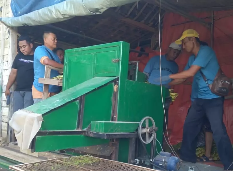 Inovasi Petani Pragu Rembang: Mesin Penata Rajangan Tembakau Otomatis. Efisiensi kerja naik drastis, kualitas tembakau tetap cerah. Cek harg