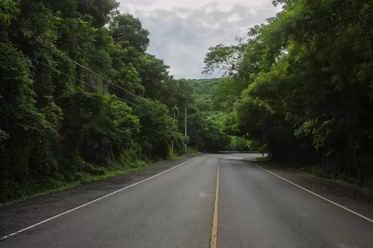 Ini dia kisah misteri dan seram dari Alas Roban di kabupaten Batang Jawa Tengah (Freepik/ wirestock)