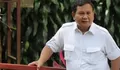 Soal Rencana Pertemuan dengan Megawati, Prabowo Subianto: Siap Bertemu Siapapun