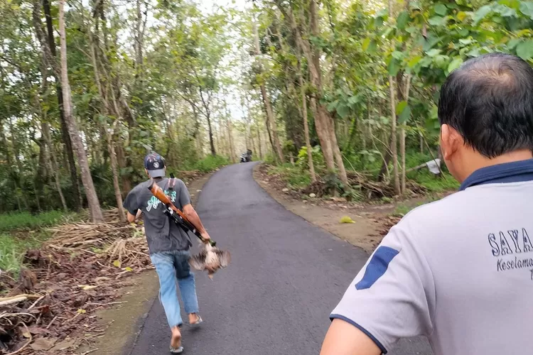 Perburuan ayam hutan yang divirakan berujung penindakan oleh polisi. (Foto: facebook Aku Cinta Kulon Progo)