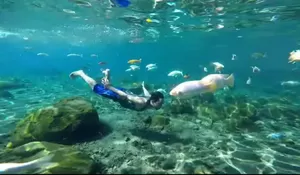 7 Wisata Umbul di Klaten, Warga Depok Wajib Datang ke sini dan Rasakan Dinginnya Mata Air