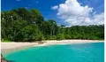 Wisata Pantai Teluk Hijau Salah Satu Surga Tersembunyi di Banyuwangi yang Juga Miliki Air Terjun