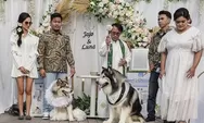 Pernikahan mewah anjing Jojo dan Luna, bikin netizen elus dada: Ada yang bunuh diri tak mampu bayar nikah... 