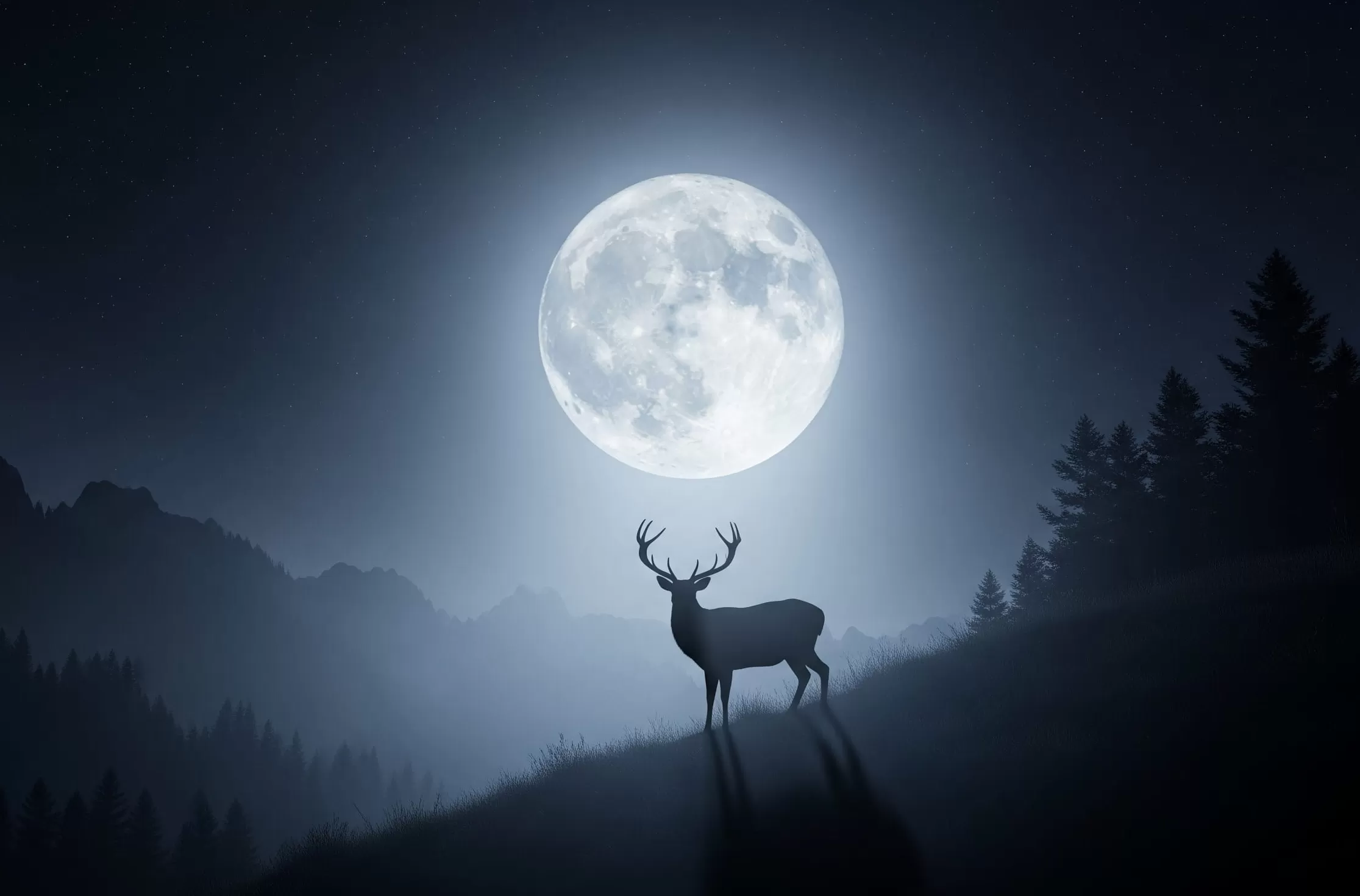 Bulan Tanduk Rusa Muncul Lagi! Apa Maknanya dan Kenapa Langit 11 Juli Jadi Spesial? (Gemini AI)