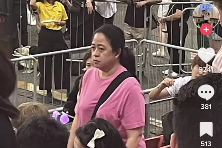 Seorang perempuan mirip dengan Ketua DPR RI Puan Maharani terciduk tengah menyaksikan konser Blackpink (tangkapan layar akun TikTok @henzhenhartono2)