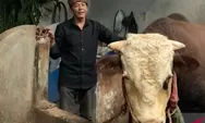 Kenalkan Ini Slamet, Sapi 1,1 Ton dari Probolinggo yang Dibeli Jokowi Seharga Rp 100 Juta untuk Hewan Kurban