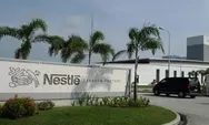 Info Lowongan Kerja Terbaru PT Nestle Indonesia, Simak Daftar dan Kualifikasinya