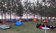 Nikmati Sensasi Tempat Wisata Tanjung Api Paloh Kalimantan Barat
