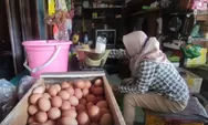 Sempat Tinggi, Harga Telur Ayam di Pasar Kendal Kini Mulai Turun