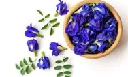Manfaat dan resep teh herbal bunga telang untuk menurunkan kolestrol tinggi
