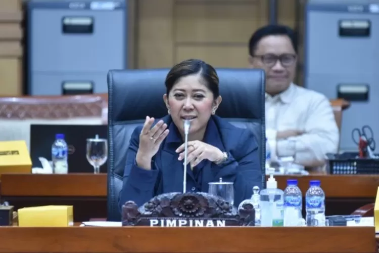 Ketua Komisi 1 DPR RI Meutya Hafidz minta TNI segera bebaskan Kapten Philips pilot Susi Air yang diduga disandera KKB Papua