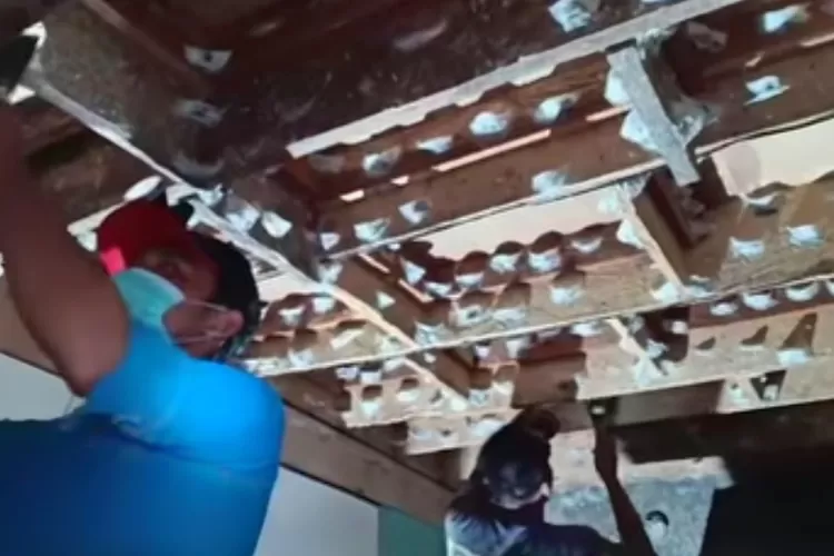 Ilustrasi Panen sarang walet. DPRD desak pemerintah Kabupaten Bulukumba untuk melakukan pendataan sarang walet. 