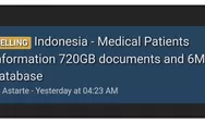 Kemenkes Telusuri Dugaan Kebocoran 720 Gigabyte Data Pasien hingga Dijual di Forum Gelap