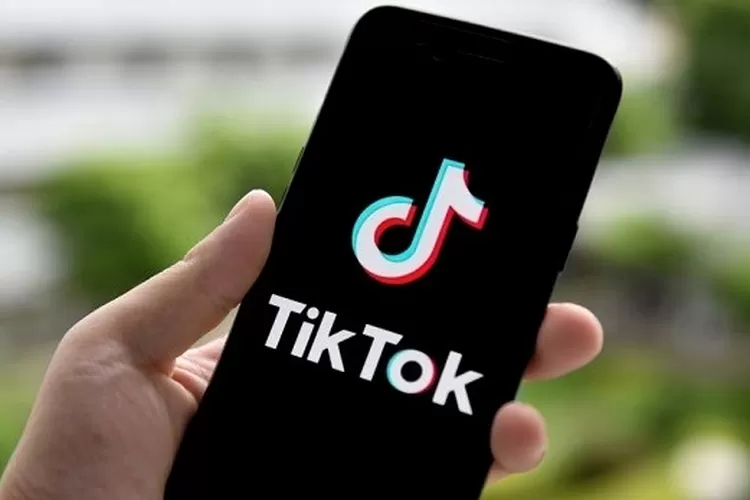 TikTok mendapat denda Rp 5,6 triliun karena melanggar regulasi privasi Uni Eropa (UE) yang mengatur pemrosesan data pribadi anak-anak. 