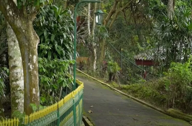 AKses jalan menuju Astana Giri Bangun, kompleks pemakaman Presiden Soeharto tampak asri