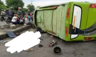 Kecelakaan Maut Bus Terguling di Sayung Demak, Polisi Pastikan Sopir Bus Selamat