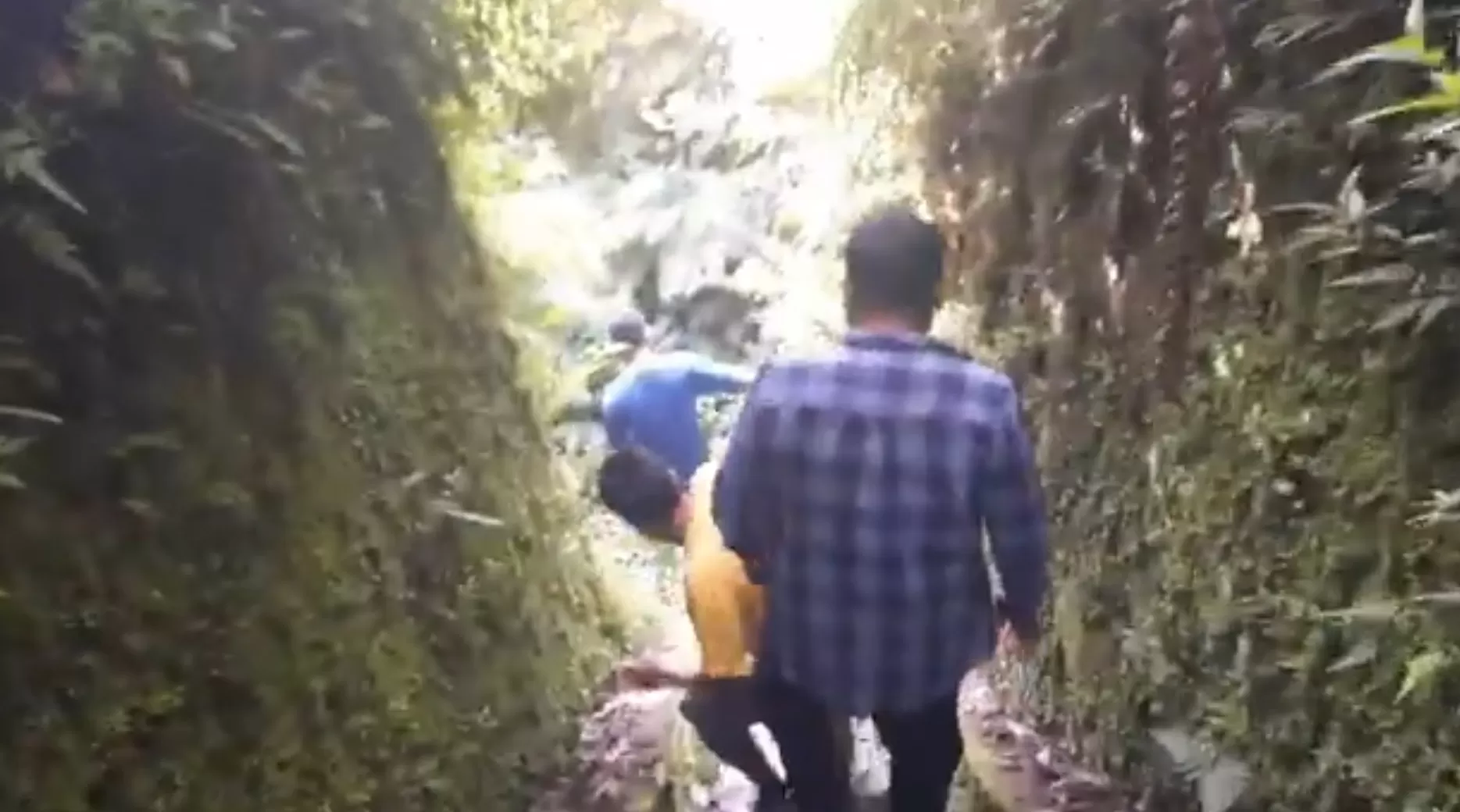 Jalan setapak menuju ke wisata Sumur Pengantin Brebes yang dipercaya bikin awet muda (Tangkapan layar video youtube @Zano Ahmad)