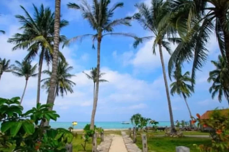 Viral Twitter, WNA Diduga Jual Ratusan Rumah di Karimun Jawa, Netizen Geram: Kelakuan Bule Kaya (Twitter)