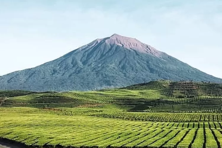 Semeru Erupsi! Gunung Kerinci Kembali Muntahkan 2 Kali Semburan Abu Vulkanik yang Cukup Tebal (Instagram @pesonakerinci)