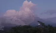 Gunung Semeru 38 kali erupsi hingga siang ini!