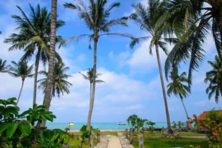 WNA Diduga Jual Ratusan Rumah di Karimunjawa, Netizen Cek Google Maps, Sudah Ada Pembukaan Lahan (Twitter)