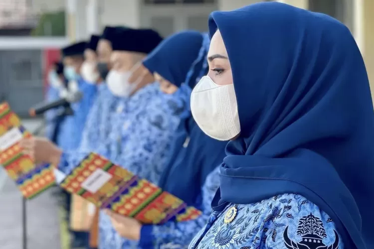 Pengumuman kelulusan PPPK guru 2022 bisa dicek melalui link berikut ini (Instagram @pnsberhijab)