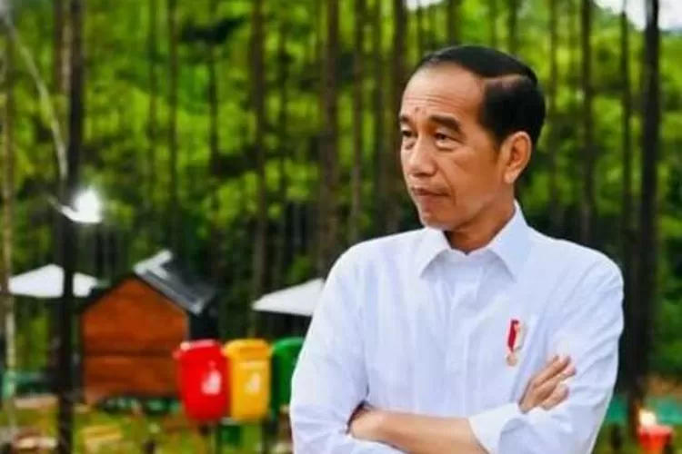 Peran Jokowi dalam pemenangan Pilpres 2024 dianggap penting (Instagram @jokowi)