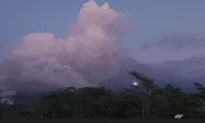 Erupsi Gunung Semeru, update pengungsi bertambah menjadi 781 jiwa