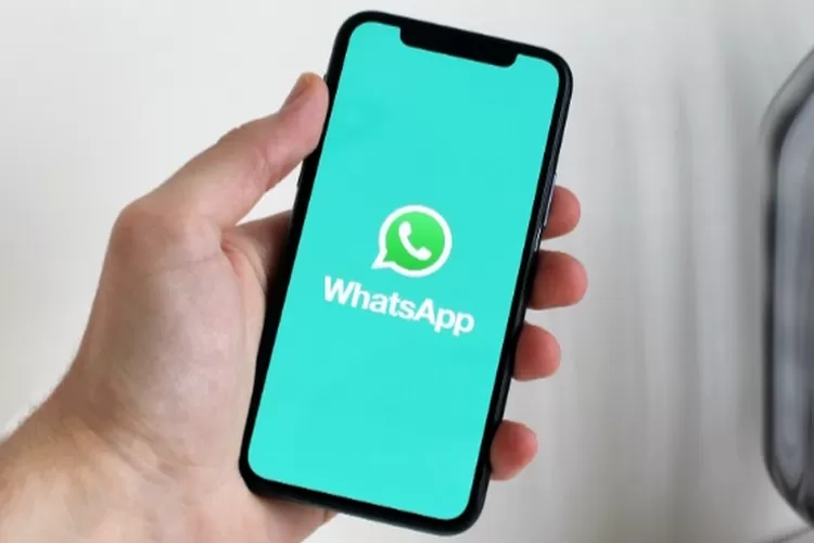 Saingi Telegram, WhatsApp Luncurkan Fitur 1 Akun di Perangkat Berbeda