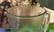 Resep herbal dr Zaidul Akbar agar badan terasa segar dan ginjal sehat