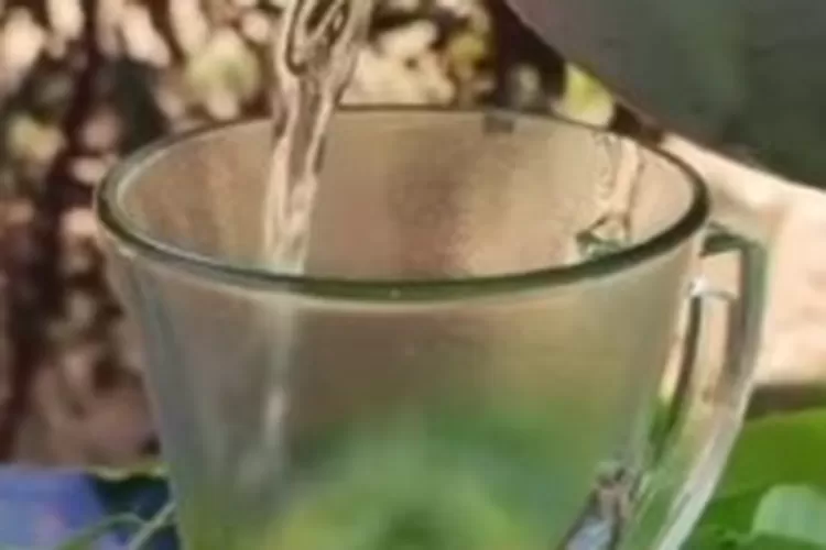 Resep dr Zaidul Akbar untuk badan sehat dan ginjal sehat