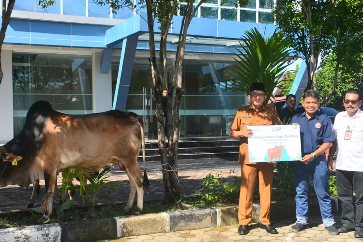 Wako Hendri Septa salurkan sapi kurban dari Bank Nagari. (Dv/Prokopim Pdg)