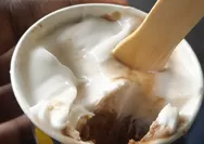 Cara Sederhana Membuat Es Krim Sagu