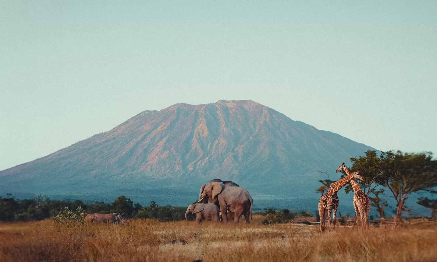 Savana Tianyar. (instagram.com/son.of.sunset)