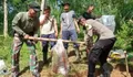 Seinergitas TNI-Polri Lakukan Gotong Toyong Besama Warga