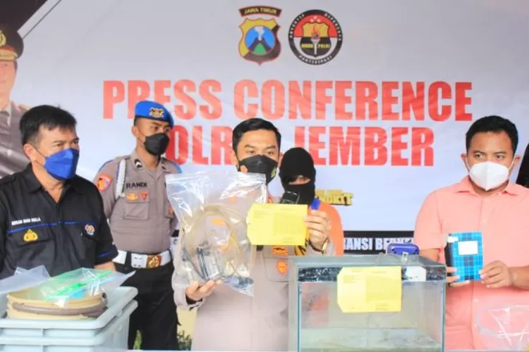 Kapolres Jember AKBP Hery Purnomo menunjukkan barang bukti penjualan benih lobster dalam konferensi pers yang digelar di Mapolres Jember, Rabu (11/5/2022).  (ANTARA/HO-Polres Jember)