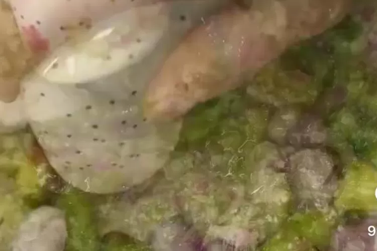 Sambel ganja, sambel bikin nagih yang tak menandung narkoba. kulinr Aceh adanya di resto Padang. (tangkapan layar Instagram @sibungbung