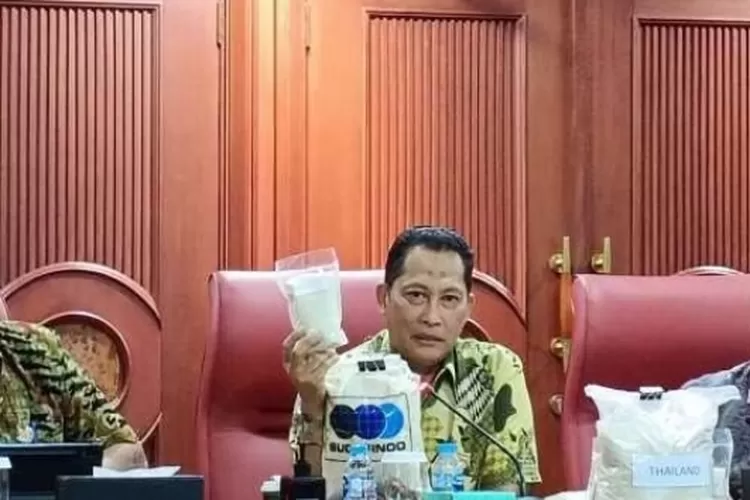 Direktur Utama Perum Bulog Budi Waseso mengatakan walau Bulog telah gencar melakukan operasi pasar, namun harga beras dipasaran masih tinggi. Karenanya, pihaknya menduga ada mafia beras yang bermain.