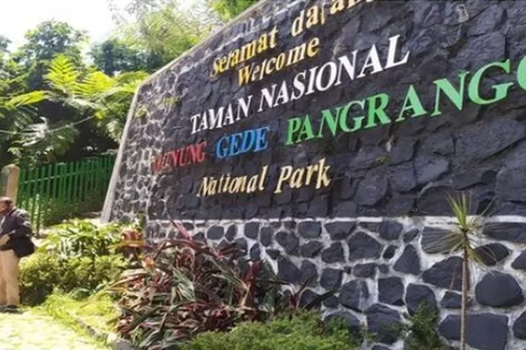 Ilustrasi wisata gunung di Indonesia yang cocok buat pendaki pemula Kota Depok.