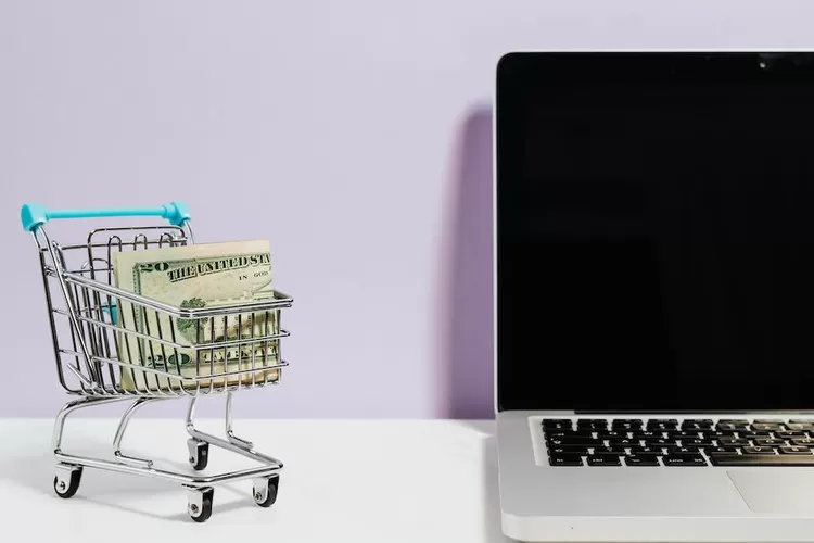 e commerce dinilai menjual barang import harga murah, disebut mematikan toko online (Pexels/ Karolina Grabowska)