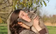 6 Perawatan Rutin pada Kucing untuk Kesehatan dan Kebahagiaan Kucing