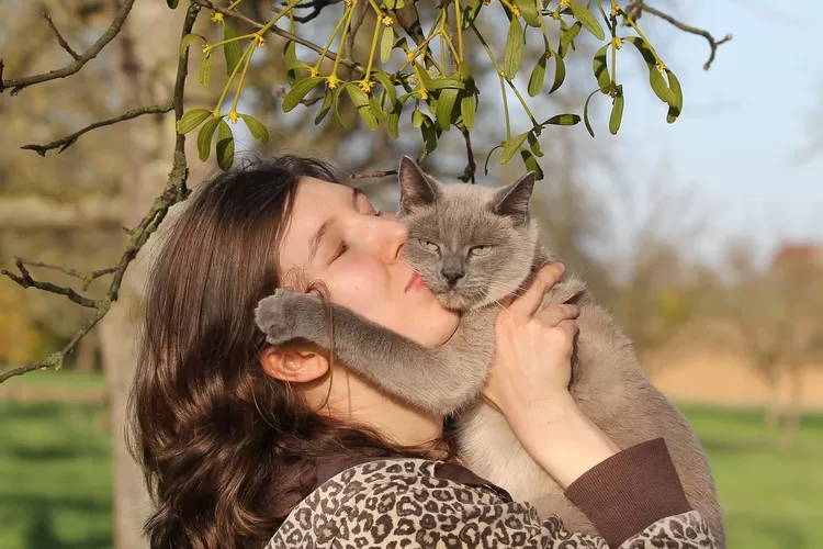 Cara melakukan perawatan kucing yang benar. (Pixabay/Uschi_du)