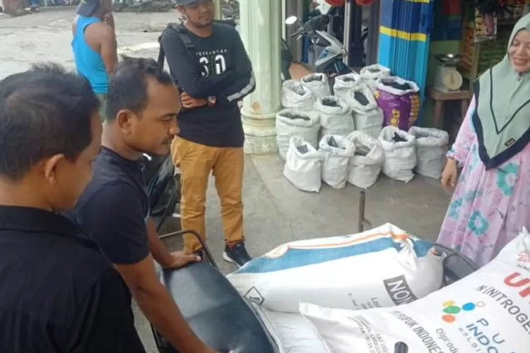 Ilustrasi - Pupuk bersubsidi di Kabupaten Nagan Raya, Aceh.  (ANTARA/Teuku Dedi Iskandar)